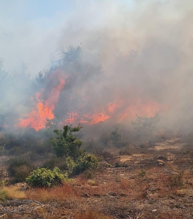 Droge natuur en natuurbranden