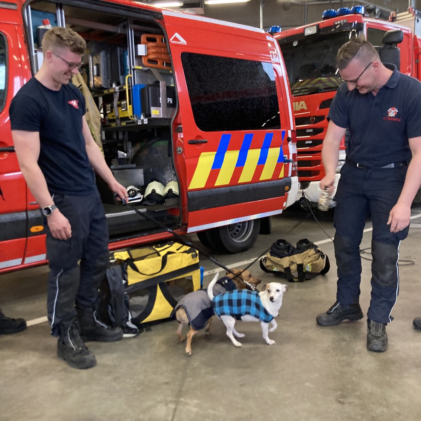 Hondjes En Brandweer