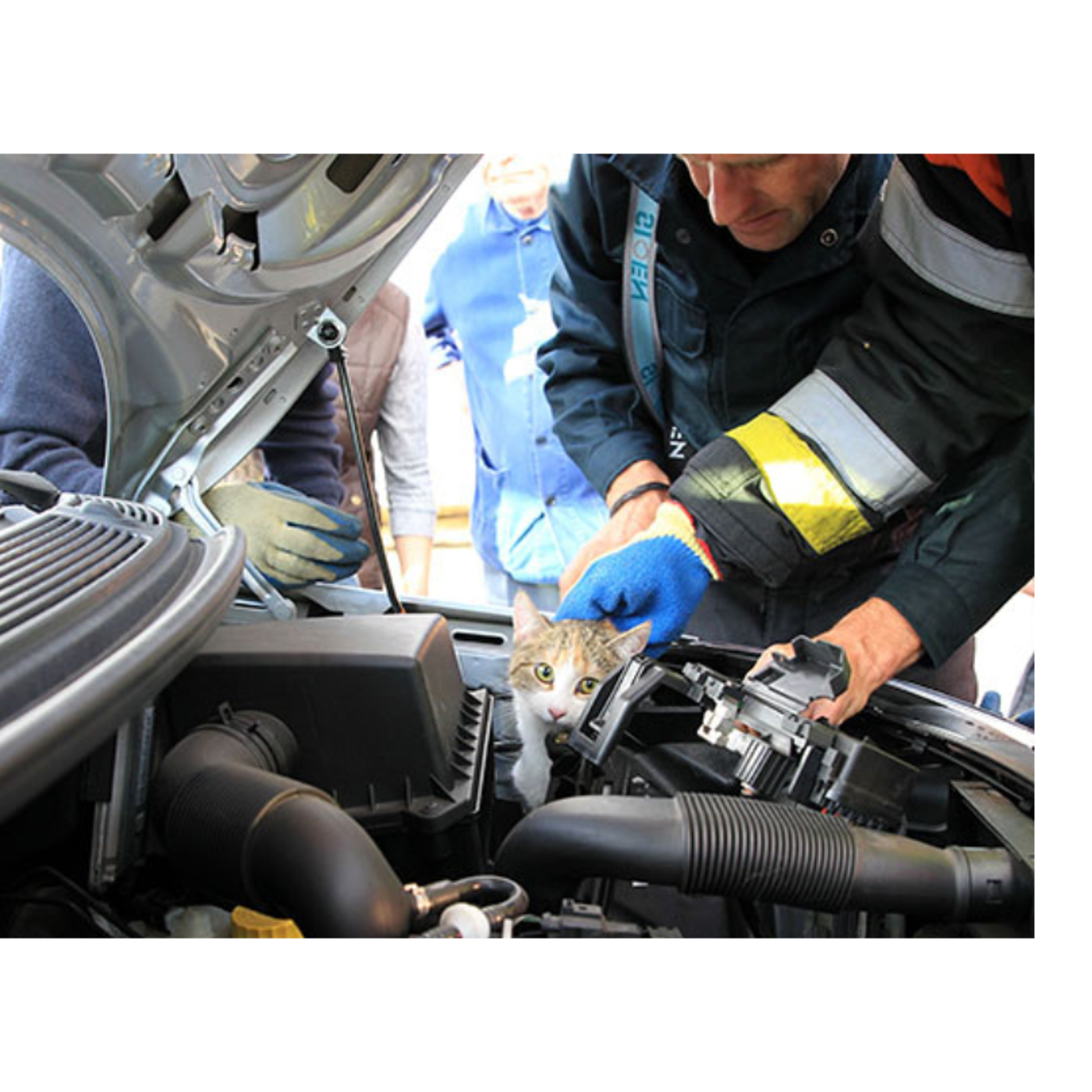 Poes Vast In Auto