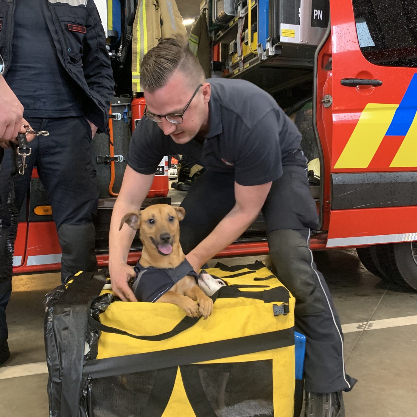 Honden Gered
